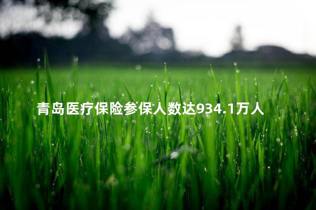 青岛医疗保险参保人数达934.1万人