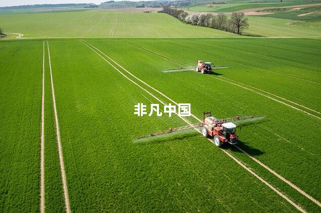 非凡中国