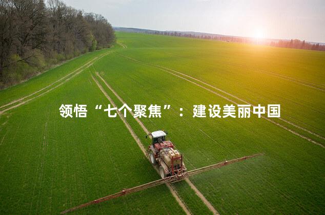 领悟“七个聚焦”：建设美丽中国