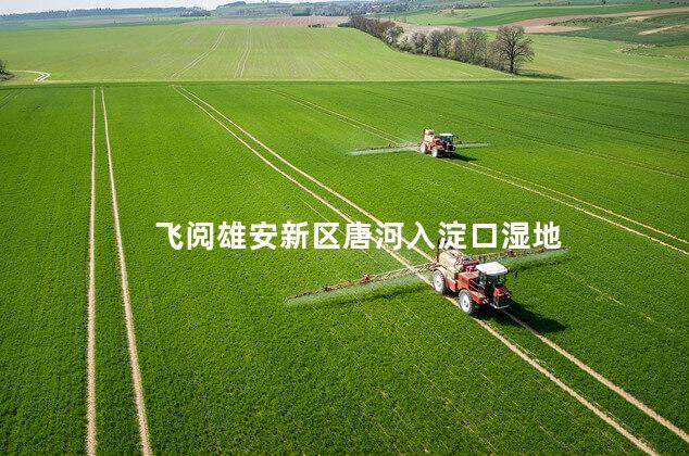 飞阅雄安新区唐河入淀口湿地