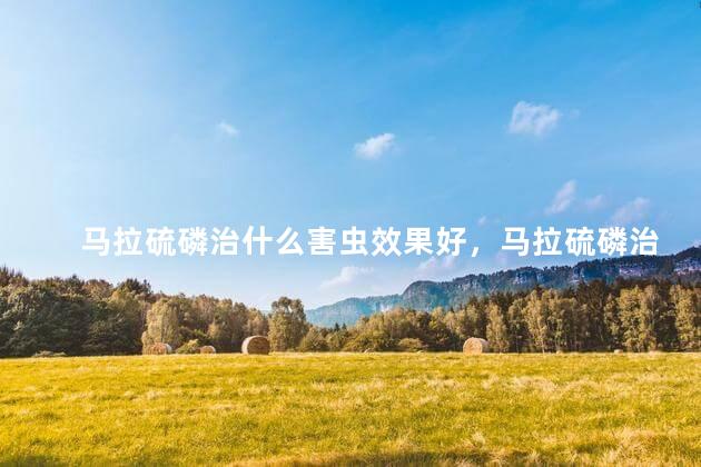 马拉硫磷治什么害虫效果好，马拉硫磷治什么害虫好