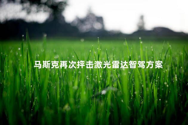 马斯克再次抨击激光雷达智驾方案