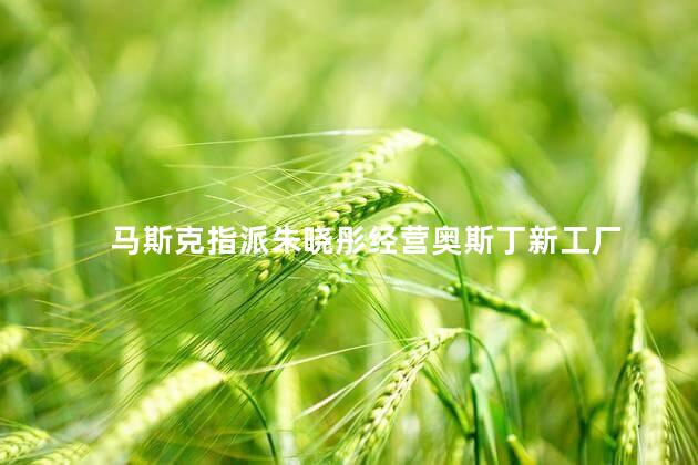 马斯克指派朱晓彤经营奥斯丁新工厂