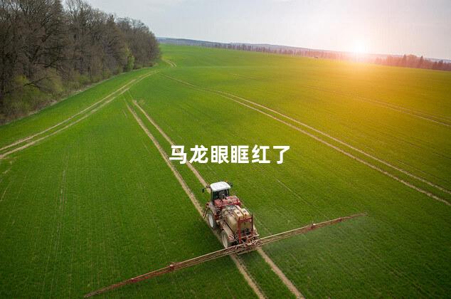 马龙眼眶红了