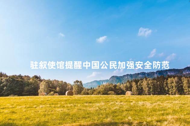 驻叙使馆提醒中国公民加强安全防范