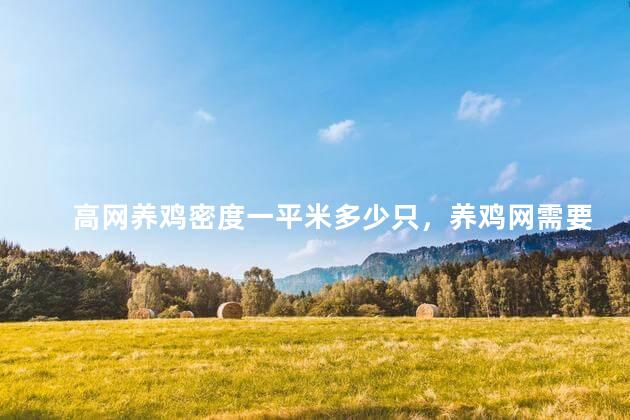 高网养鸡密度一平米多少只，养鸡网需要多高