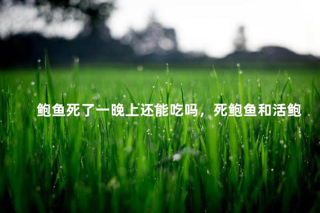 鲍鱼死了一晚上还能吃吗，死鲍鱼和活鲍鱼区别