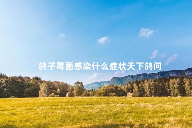 鸽子霉菌感染什么症状天下鸽问
