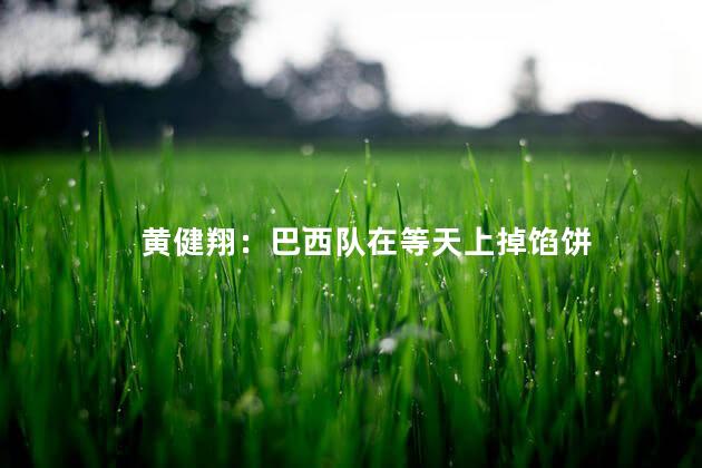 黄健翔：巴西队在等天上掉馅饼