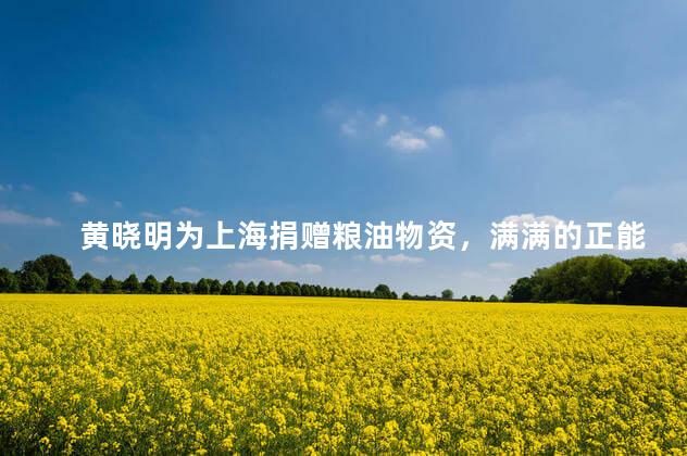 黄晓明为上海捐赠粮油物资，满满的正能量