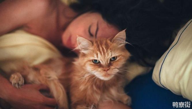 猫为什么爱挨着人睡