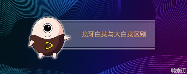 48岁阿姨记录农村生活走红网络