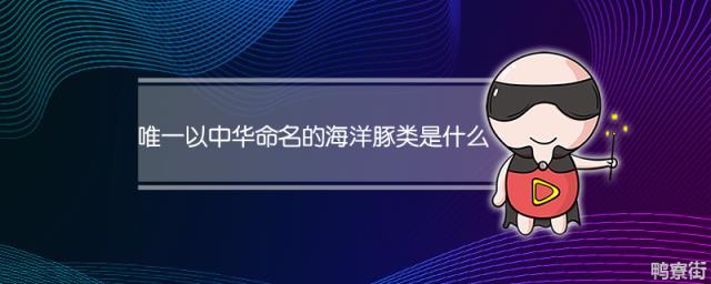 唯一以中华命名的海洋豚类是