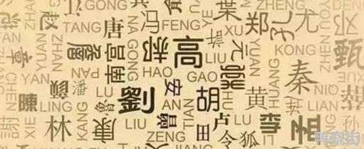 汉族最大的十个姓是什么