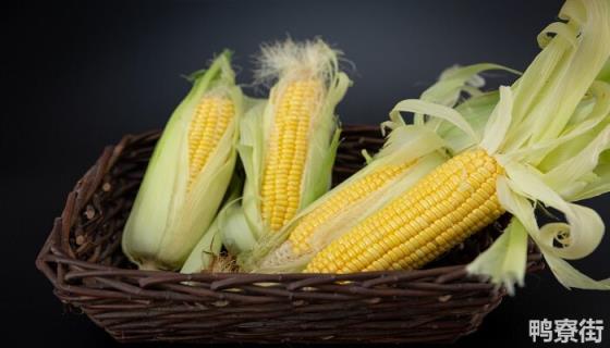 佳美达玉米种子特征