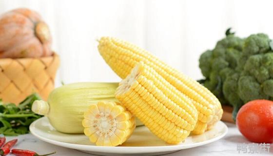 佳美达玉米种子特征