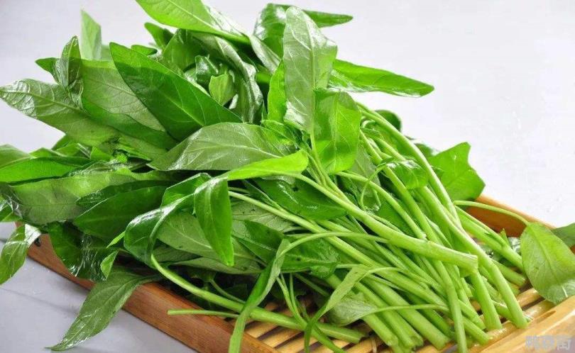 15种可以割了再长的菜有哪些