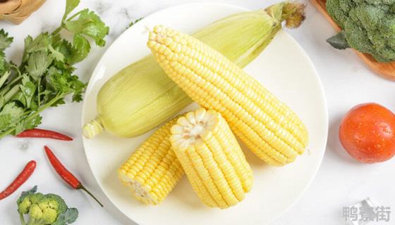 兆育88玉米种子品种介绍