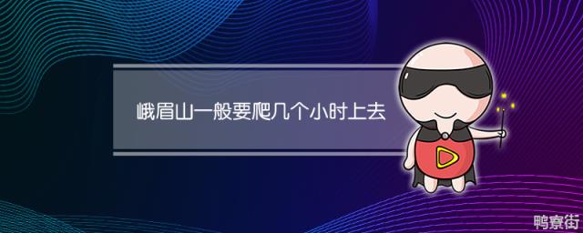 峨眉山一般要爬几个小时上去