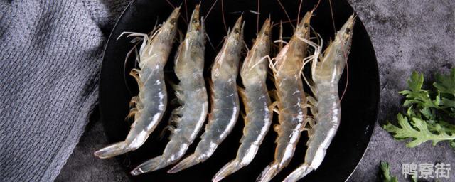 对虾弧菌感染最佳处理方法