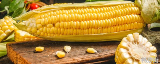 玉米秀病害防治