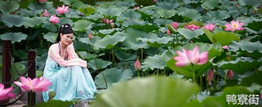 莲花女是什么意思