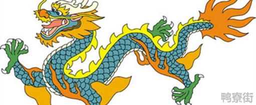 四条龙是什么意思