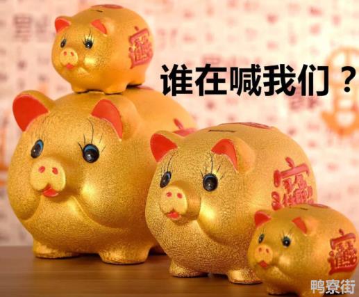 属猪为什么三月生八败