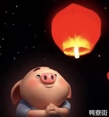 属猪为什么三月生八败