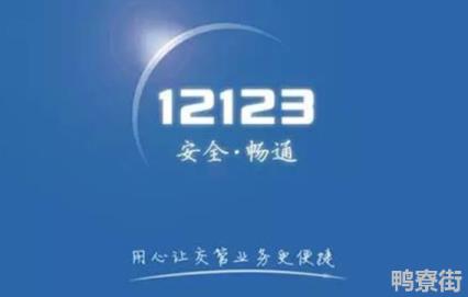 交管12123违章多久能查出来