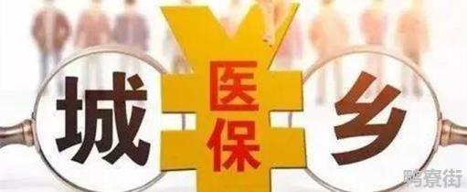 城乡居民医保返回是什么意思