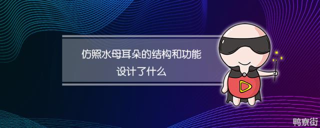 仿照水母耳朵的结构和功能设计了