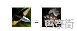 金铲铲之战连败老鼠狼人互转阵容运营玩法介绍