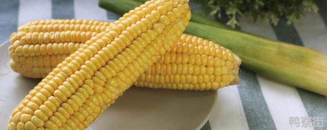 迪卡1563玉米种子积温是多少 迪卡1563审定公告
