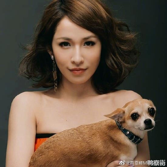 萧亚轩爱犬Gemi去世