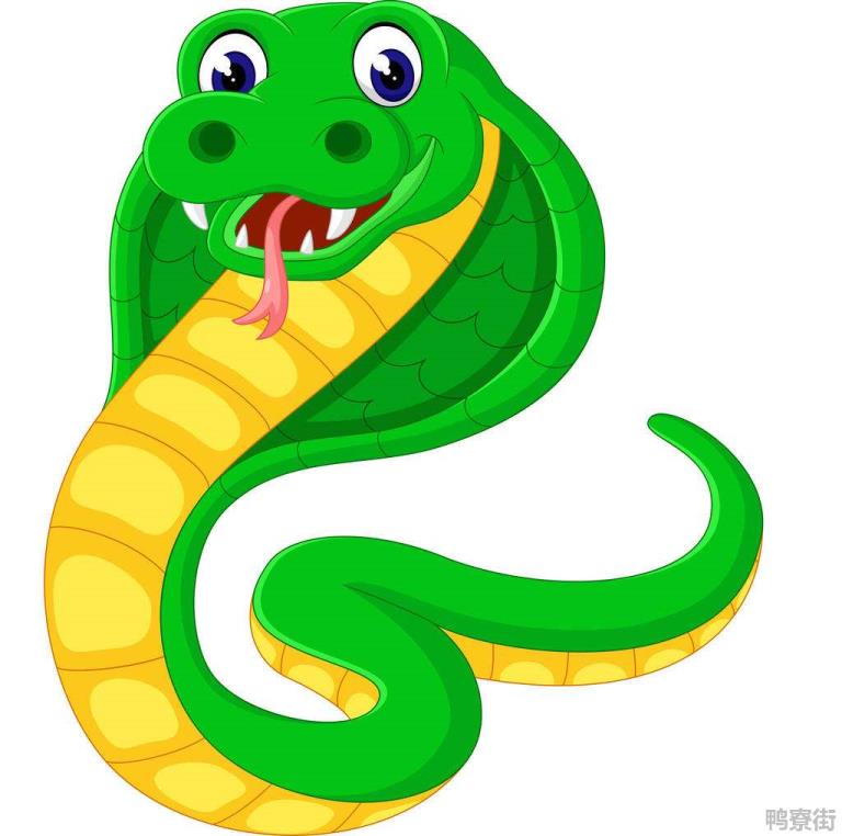 属蛇终生最吉利的颜色是什么