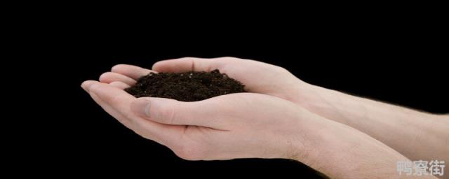 微生物肥料可以修复土壤吗 微生物肥料可以修复污染的土壤