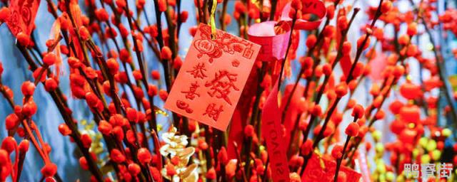 银柳怎么插成花束好看