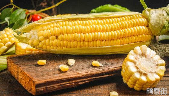玉米产量 玉米产量最多的省