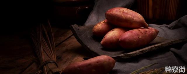 红薯种植技术和管理