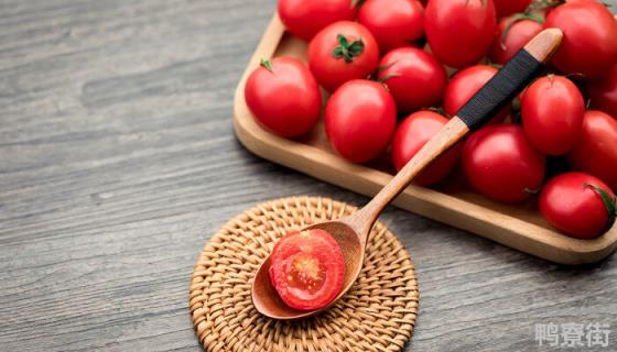 小番茄种植方法和时间