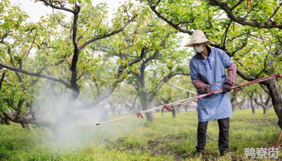 生物农药有哪些 生物农药有哪些特点