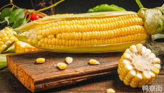 活杆成熟的玉米品种