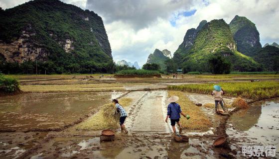 原始农业的地位