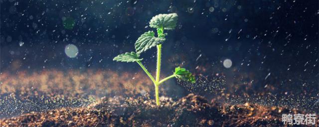 太空种植的意义价值