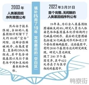 完整人类基因组首次被破译：人类DNA蓝图首次揭开全貌