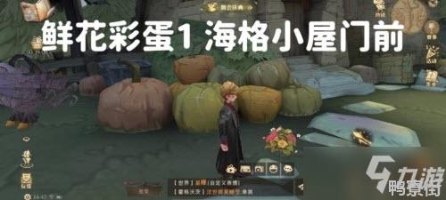 哈利波特魔法觉醒6处鲜花彩蛋位置分享：六处鲜花如何获取